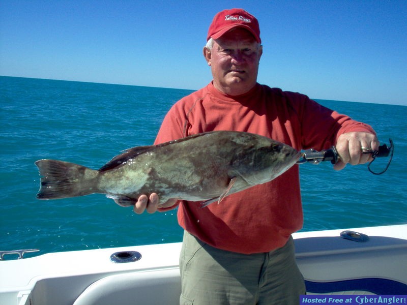 28-inch gag grouper