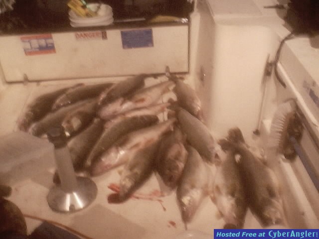 Night Walleye Fishing Great Lake Erie