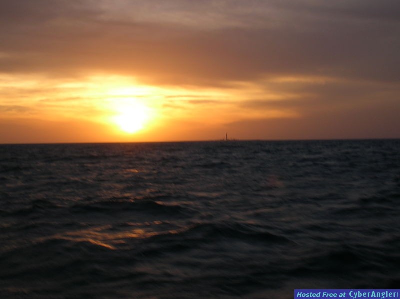 Loggerhead_12910_001