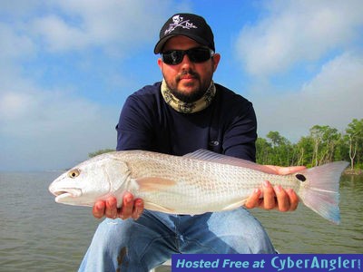 Click to Enlarge Photo