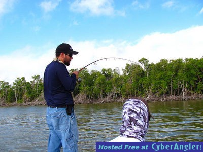 Click to Enlarge Photo