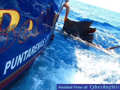 Click to Enlarge Photo