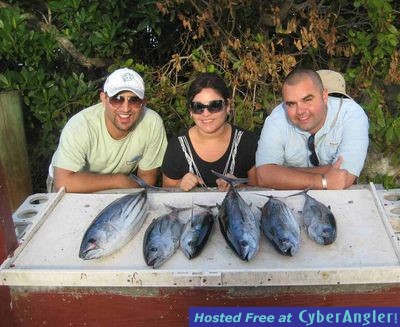 tuna blackfins and skips