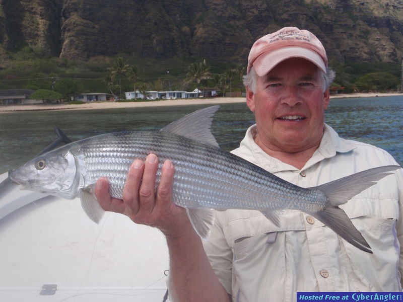 hawaiian bonefish
