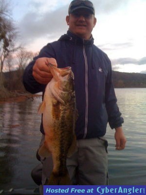 Click to Enlarge Photo