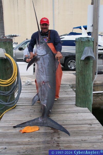 Daytime Swordfish in Miami