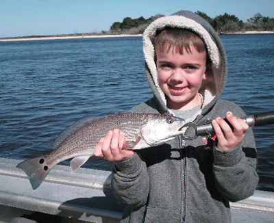 Click to Enlarge Photo