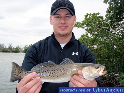 Creek Trout
