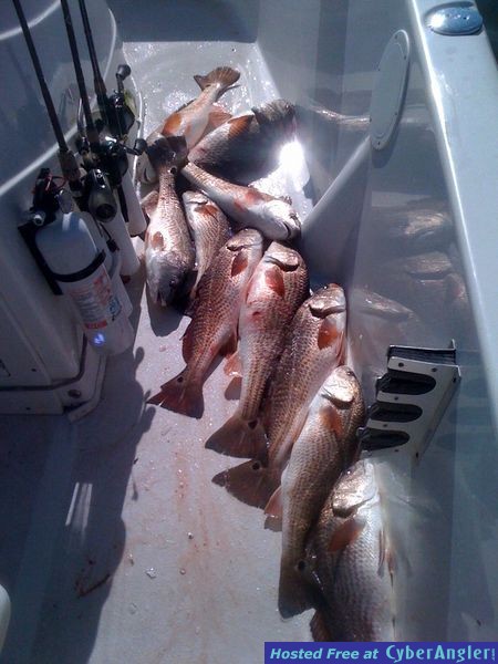 reds