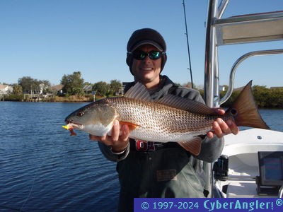 Click to Enlarge Photo