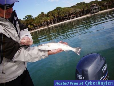 Click to Enlarge Photo