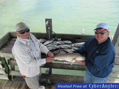 Click to Enlarge Photo