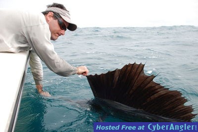 Sailfish from a 22' Pathfinder