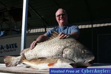 Black Drum