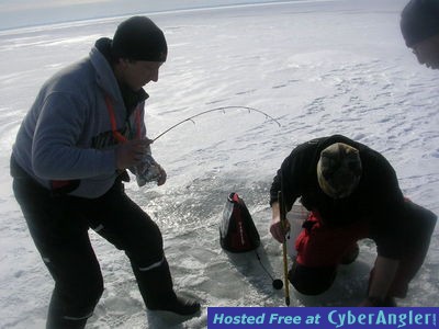 Big Water Walleye on Lake Erie with Erie Quest