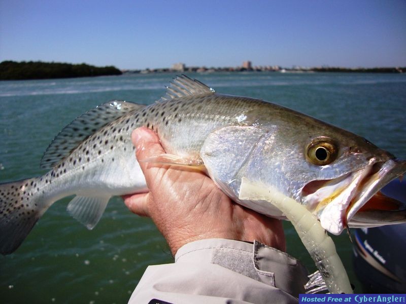 Trout_III_005