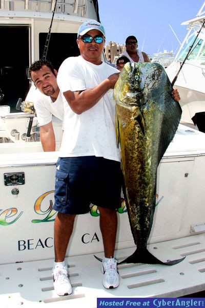 catches