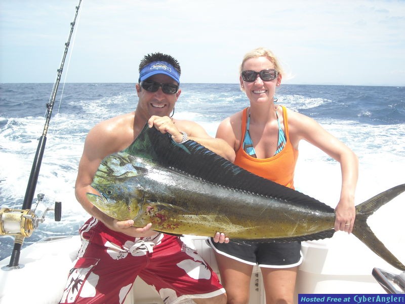 Dorado on a honeymoon