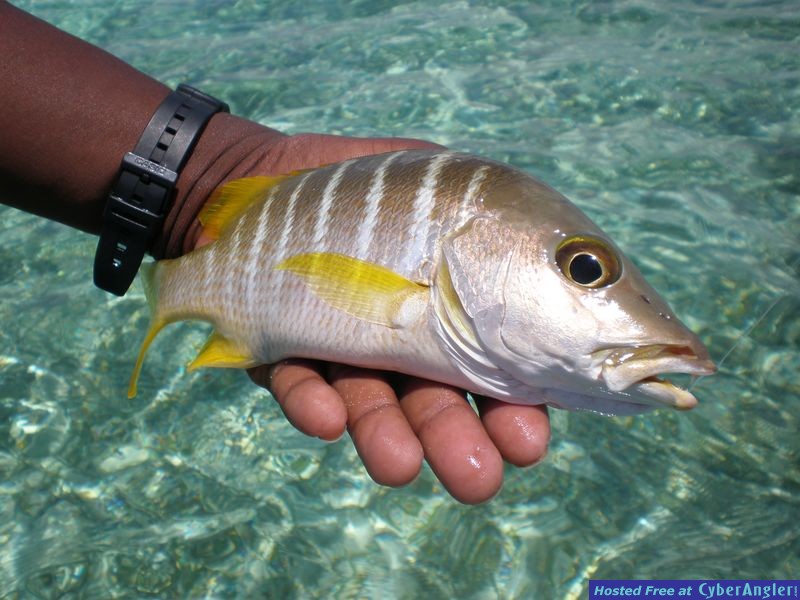 Ambergris Caye, Belize