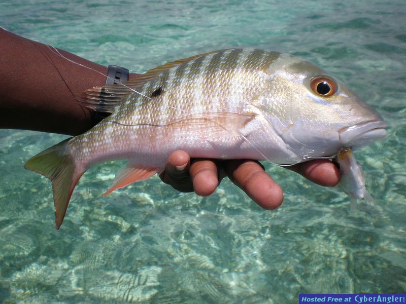 Ambergris Caye, Belize