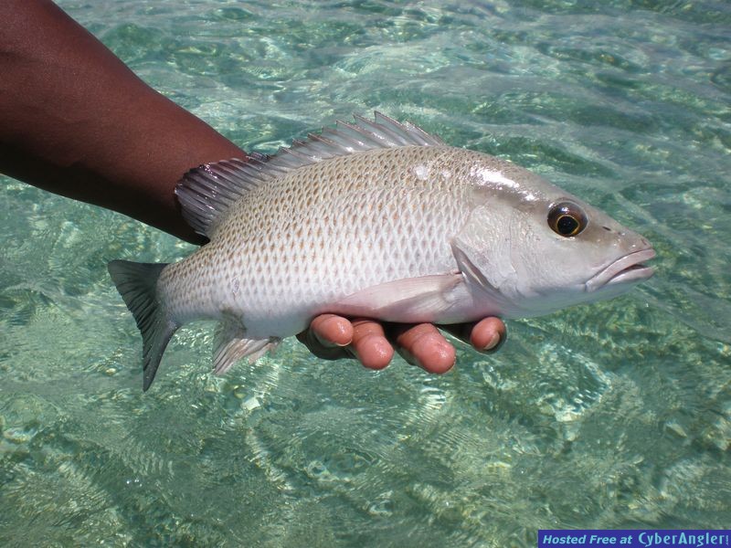 Ambergris Caye, Belize