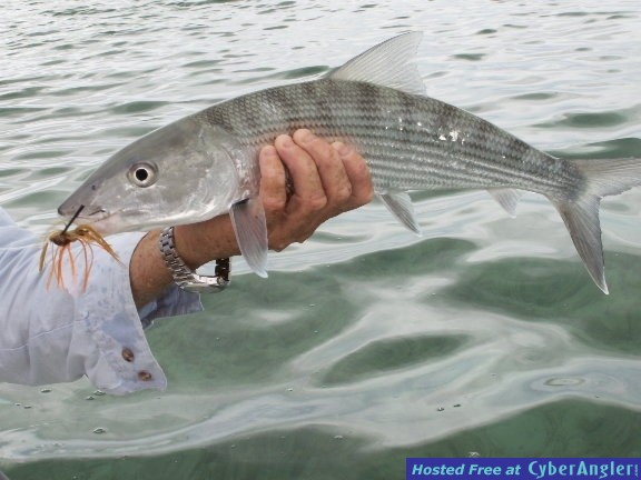 Ambergris Caye, Belize