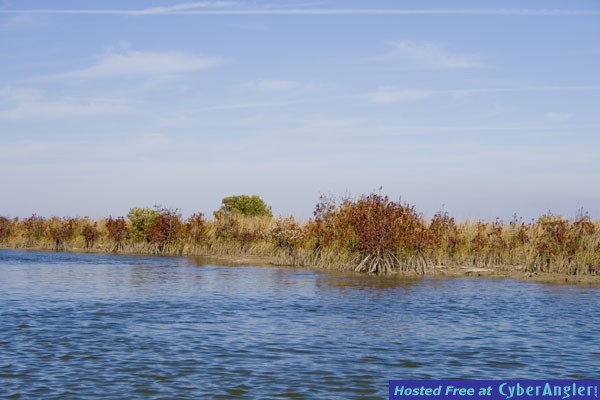 Click to Enlarge Photo