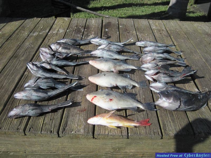 Port Canaveral Offshore Fishing
