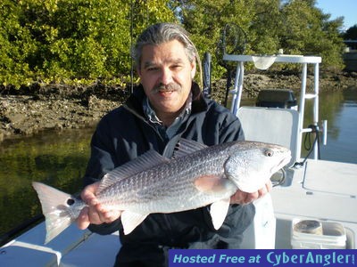 February Redfish