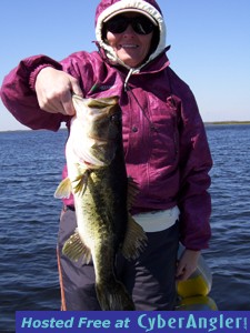 Lake Toho Bass Fishing