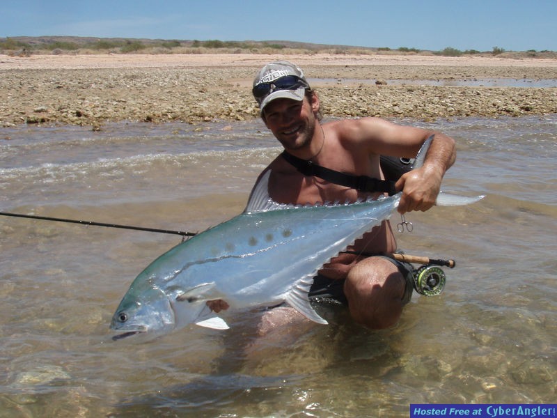 Queenfish of Western Australia