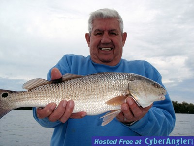 Redfish are getting hungry