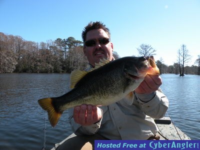 Large Mouth Bass GF lake