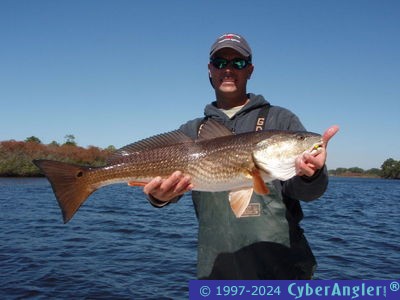 Click to Enlarge Photo