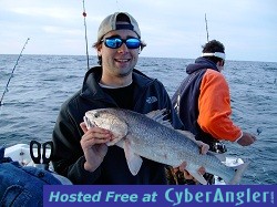 Brent C Redfish