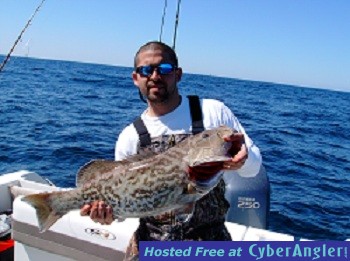 large gag grouper