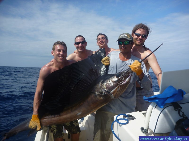 Jaco Costa Rica Sail Fish Adam B