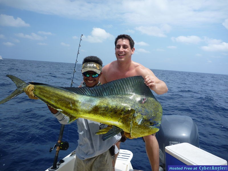 Jaco Cost Rica Mahi-mahi Adamb