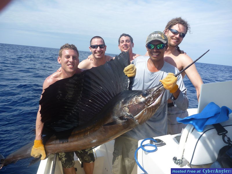 Jaco Cost Rica Sail Fish AdamB