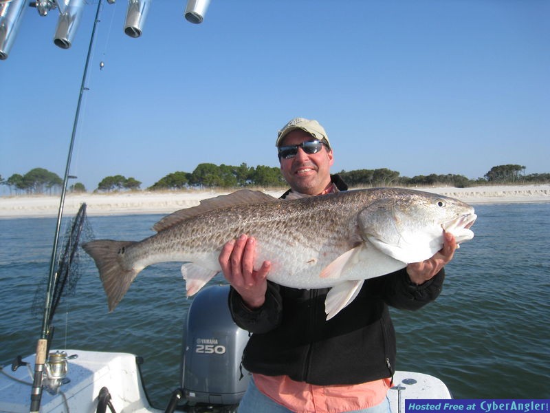 Panama City Beach Bull Redes.