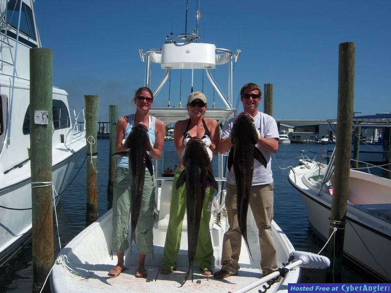 Cobia