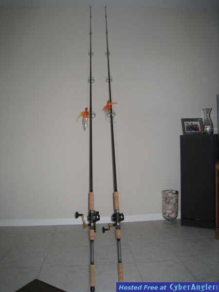 Cobia