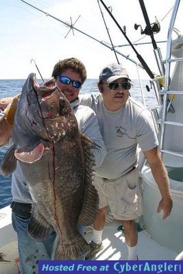 Click to Enlarge Photo