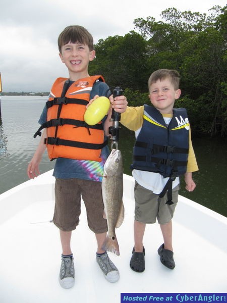 Nice redfish caught on live shrimp