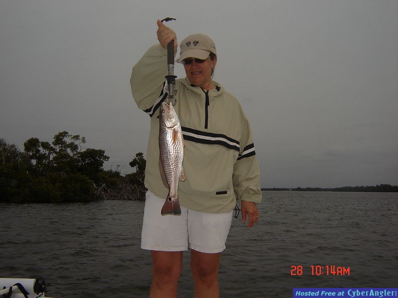 Picture_061