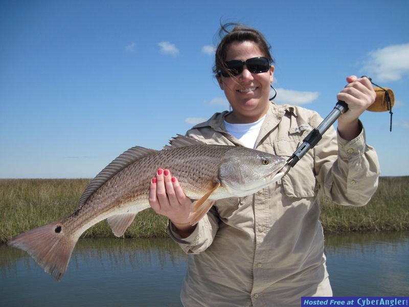 red fish with Shore Thing Charters
