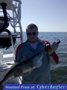 Red Fish 8lb