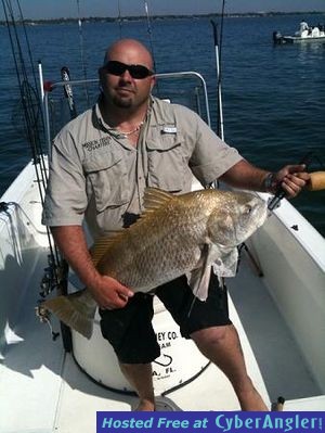 Tampa bay Black Drum 4/1/2010