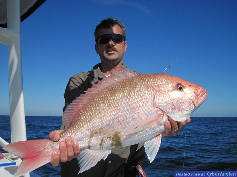 ARS Red Snapper