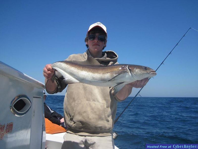 First Cobia in the boat in 2010